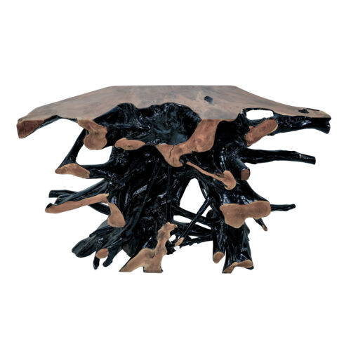 Amara Teak Root Console - Image 3