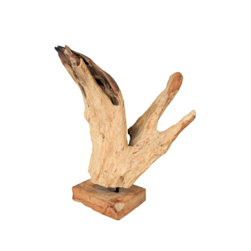 Teak Sculpture