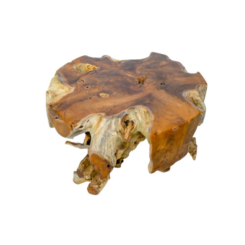 Teak Root Coffee Table