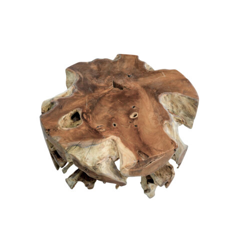 Teak Root Coffee Table - Image 2