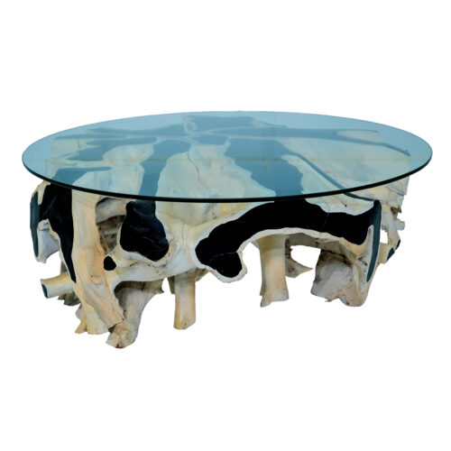 Ivory Teak Root Coffee Table - Image 2