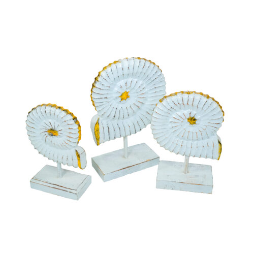 Fan Decor