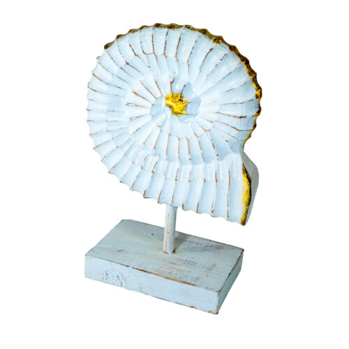 Fan Decor - Image 2