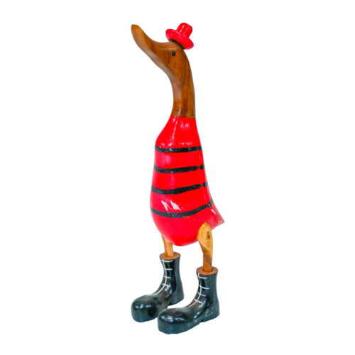 Duck 11